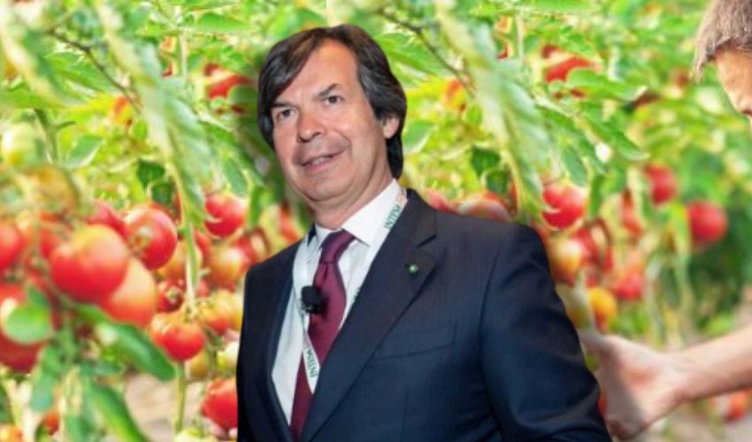 Intesa Sanpaolo, l’export agroalimentare italiano a +6,6% nel 2024