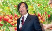 Intesa Sanpaolo, l’export agroalimentare italiano a +6,6% nel 2024