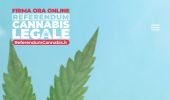 Referendum sulla cannabis, oltre 330 mila firme (anche digitali)