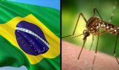 In Brasile le prime due vittime al mondo per la febbre Oropouche