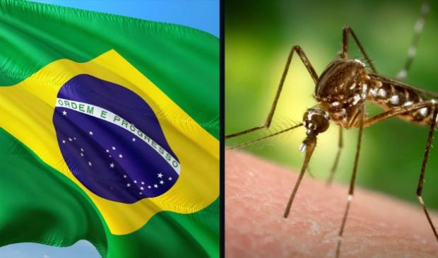 In Brasile le prime due vittime al mondo per la febbre Oropouche